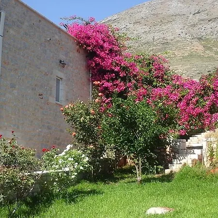 Sophia Mina Green Villa
