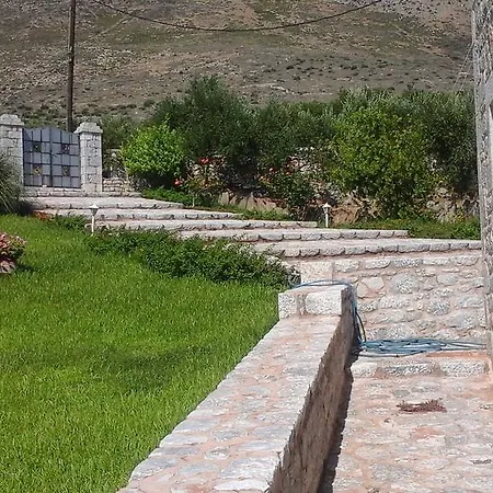 Sophia Mina Green Villa Mina