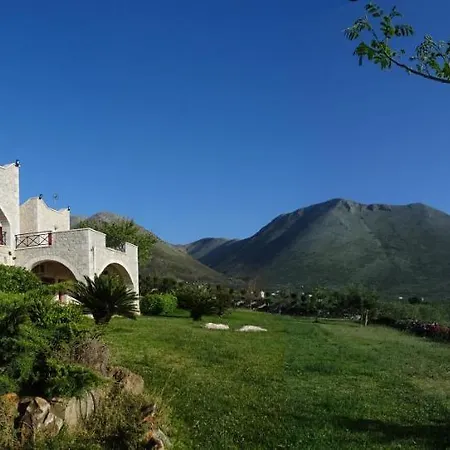 Sophia Mina Green Villa Mina