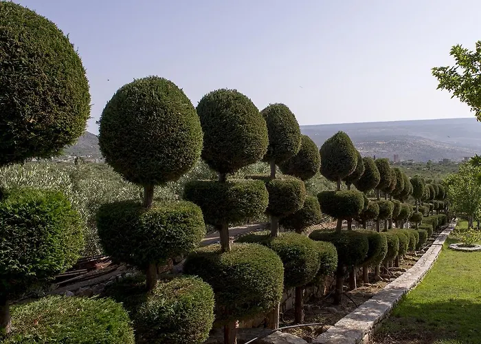 Apartament Sophia Green